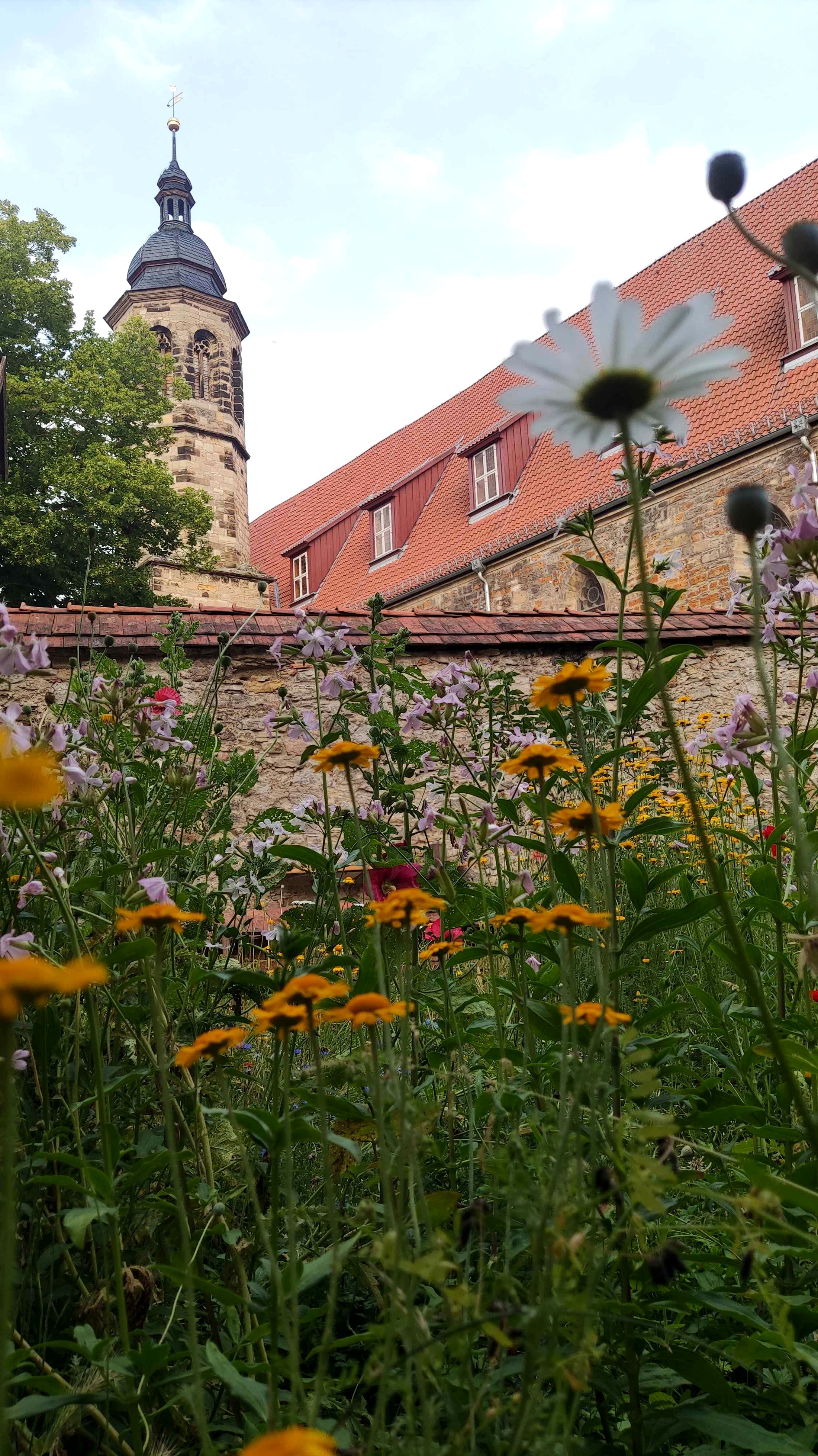 Der naturnahe Garten am Denkmalhof